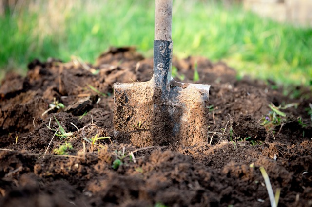 making-soil