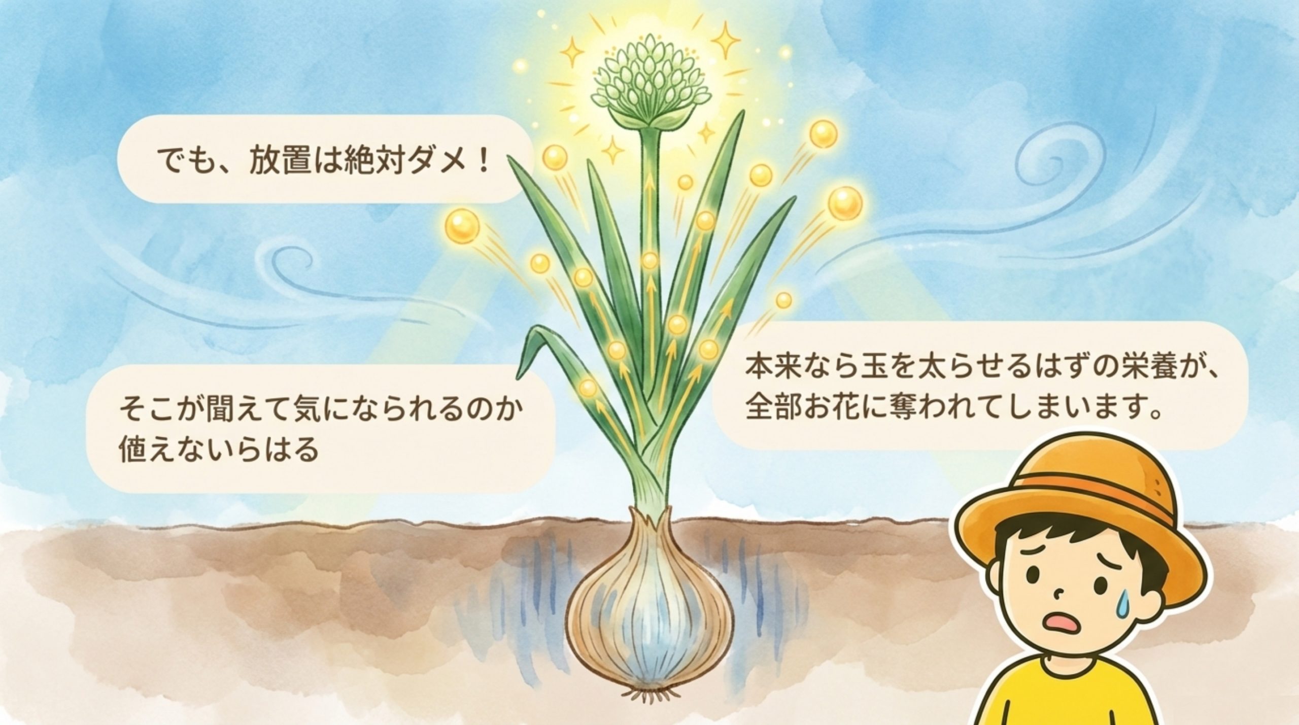 【玉ねぎ】4月に絶対やって欲しい3つのこと_p30